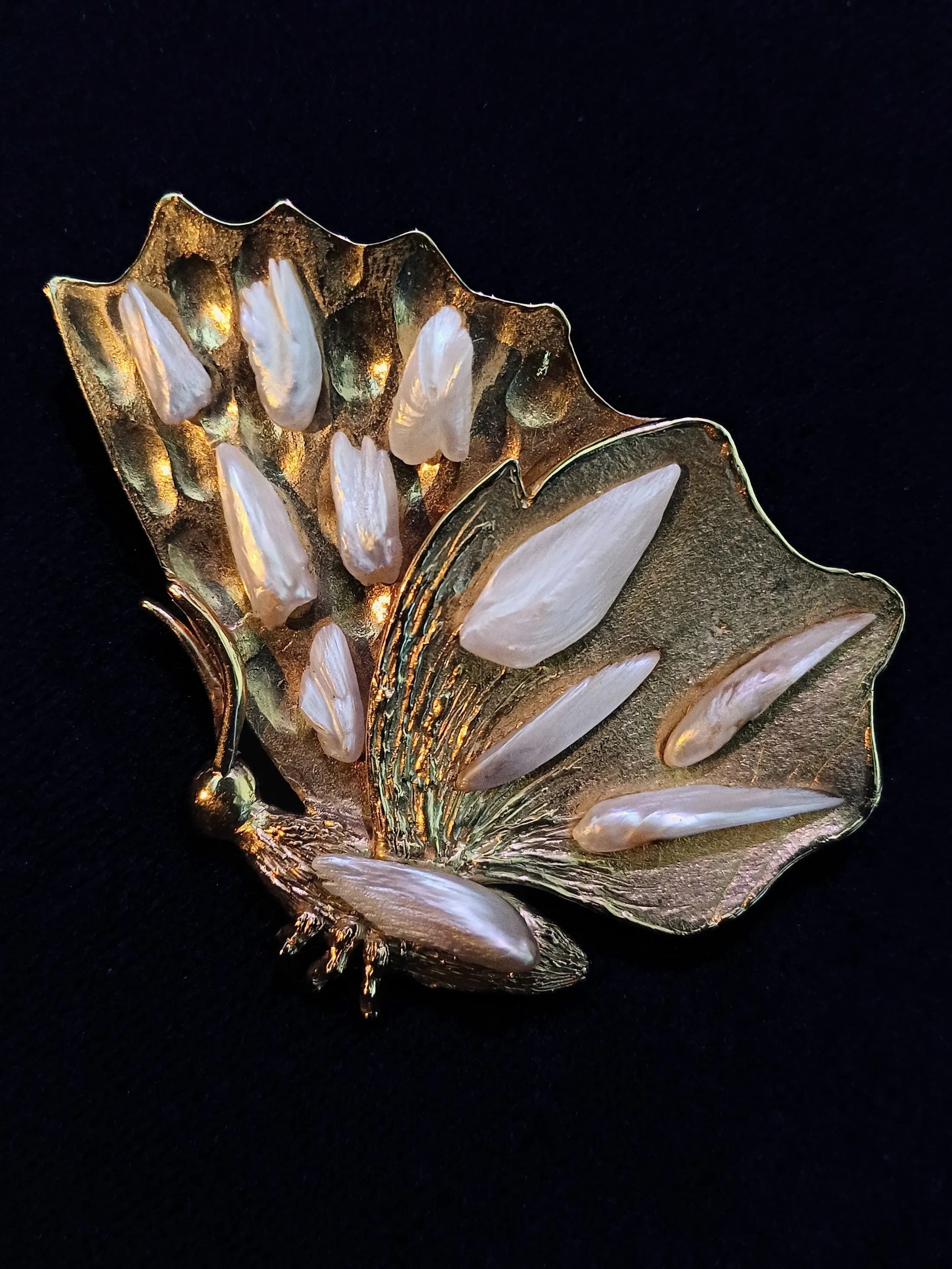 Schmetterling 