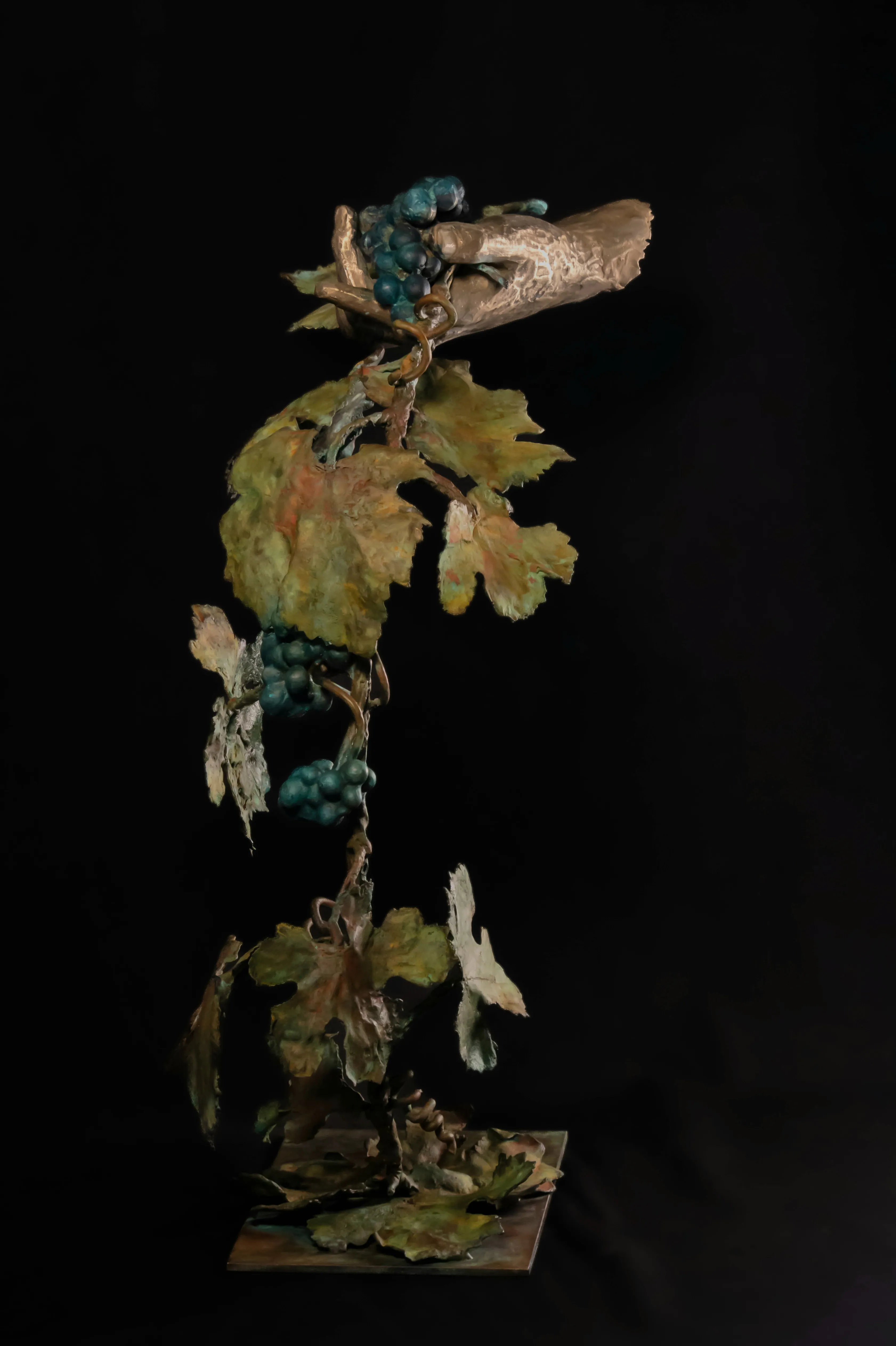 Weinrebe