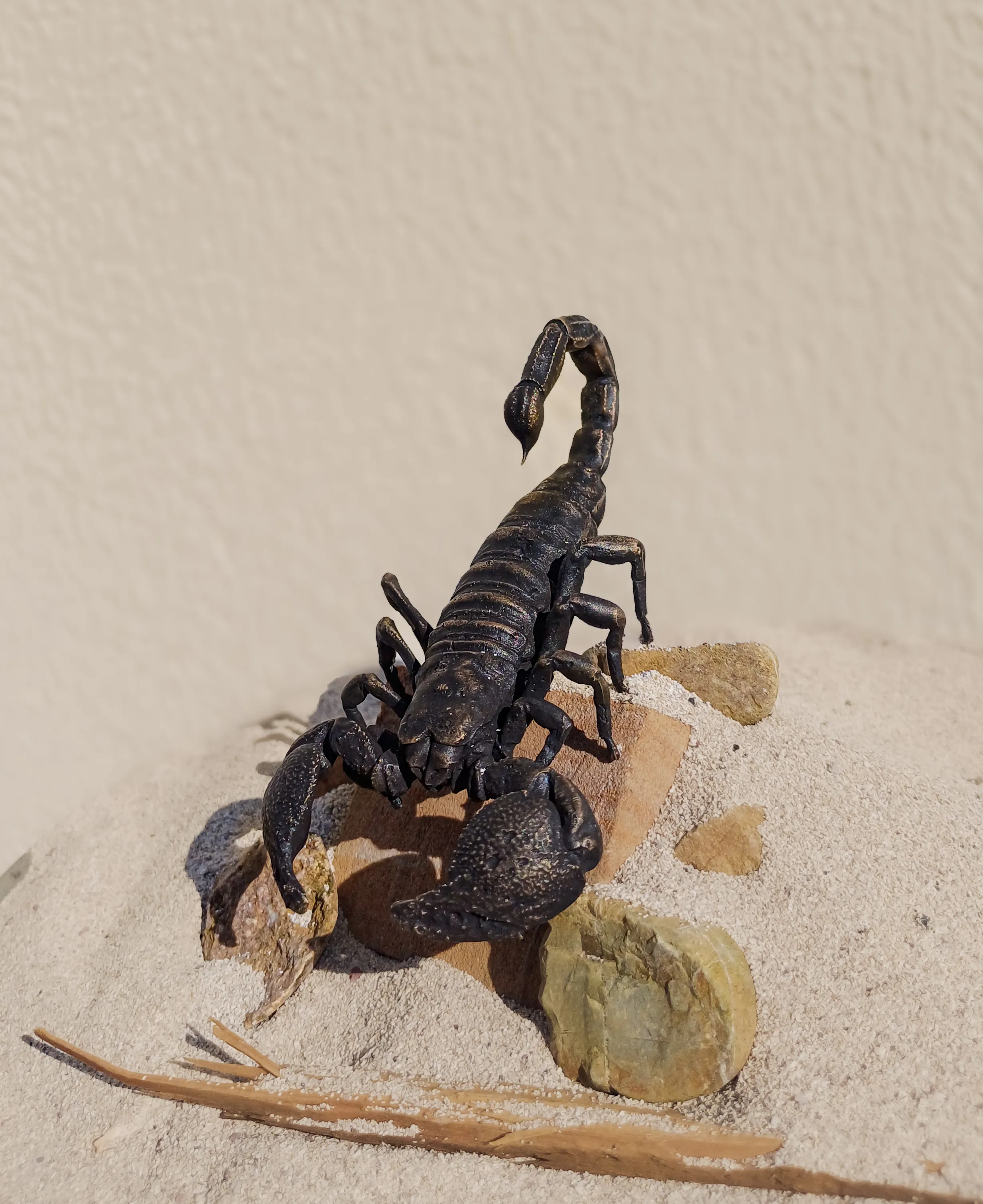 Skorpion
